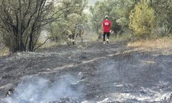 Bursa Mudanya'da rüzgarın etkisiyle büyüyen yangın kontrol altına alındı