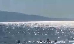 Bursa Gemlik'te dubaların dışına çıkan aile boğulma tehlikesi atlattı