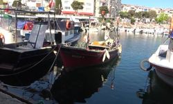 Marmara balıkçıları dertli: Müsilaj ve bilinçsiz avlanma geçimi vurdu