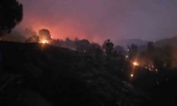Gömeç'teki yangın Tıfıllar köyünü etkiledi
