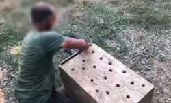 Gümrük Muhafaza ekipleri 4 yaban hayvanını kurtardı