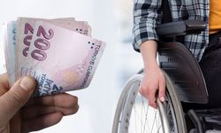Engelli ve eski hükümlüler için milyonluk hibe desteği!