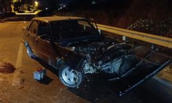 Bursa İnegöl'de otomobil ağaca çarptı: 1 yaralı