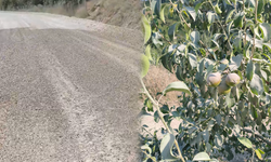 İnegöl Süle Mahallesi'nde 1,5 yıllık yol çilesi! Çiftçi tozla mücadeleyi kendi imkânıyla veriyor