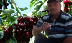 Kiraz yedikten sonra zehirlenerek öldükleri iddia edilen çift yan yana toprağa verildi