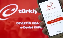 Merkez Bankası’ndan e-Devlet adımı: Elektronik para hesapları artık tek tıkla sorgulanabilecek!
