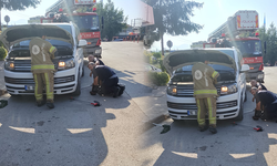 Bursa İnegöl'de minibüsün motorundan yılan çıktı!