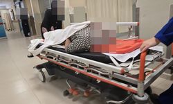 Bursa İnegöl'de Ihlamur Toplamak İsterken Canından Oluyordu