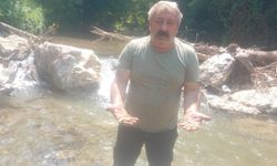 İnegöl'de Mezit deresinde neler oluyor? İlk kez balık ölümleri görüntülendi
