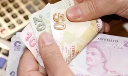 Alman bankasından dikkat çeken TL yorumu!