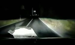 Bursa Orhangazi'de otomobil domuza çarptı; çarpma anı araç kamerasında