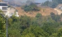 Bursa Nilüfer'de otluk alanda çıkan yangın hızlı müdahale ile söndürüldü
