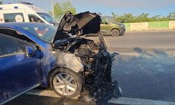 Bursa Mudanya'da alev alan otomobil zeytinlik alana sıçramadan söndürüldü