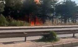 Bursa'da iki noktada aynı anda yangın...Uludağ'ın etekleri yanıyor
