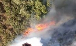 Uludağ'ın eteklerindeki orman yangınına helikopterler müdahaleye başladı