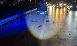 Bursa'da ecel emniyet şeridinde yakaladı! Yolda kalan aracına yakıt doldururken canından oldu...