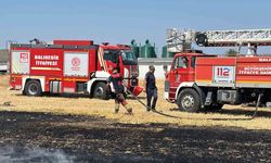 Bandırma'da anız ve otluk alanda yangın