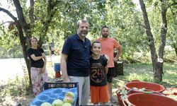 Gürsu'nun küçük çiftçisi herkesi kendine hayran bıraktı