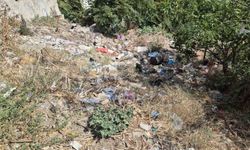 Okulun dibindeki metruk alan çöplüğe döndü