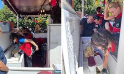 Antalya'da bir külah dondurmaya 550 TL ücret: İşletme kapatıldı