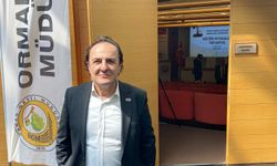 TAPSİAD: Ormanları Korumak, Üretim Gücünü Korumaktır