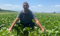 Çiftçinin pazar arama derdi bitti! Bursa Yenişehir'de dikkat çeken uygulama