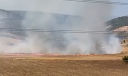 İnegöl'de tarlayı yaktı! Jandarma yakaladı