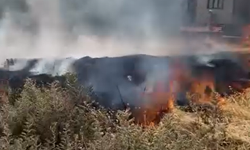 Bursa İnegöl’de evlerin dibinde anız yangını! Korku dolu anlar