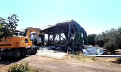 Bursa'da zeytinliğe yapılan kaçak depo böyle yıkıldı
