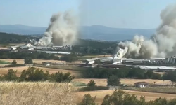 Bursa Mudanya'da tavuk çiftliğinde yangın