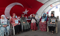 Karanlık bitti, evlatlara kavuşma vakti! Diyarbakır Annelerinden tarihi gelişmeye ilk yorum...