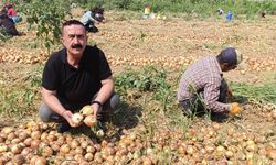İnegöl'de soğan hasadı başladı! Ziraat Odası Başkanı uyardı: "Fiyatlar daha da yükselebilir"