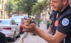 İnegöl’de duyarlı vatandaş ve itfaiye ekiplerinden örnek kurtarma!