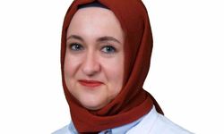 Seyahat sonrası ateşlenme sıtmanın habercisi olabilir