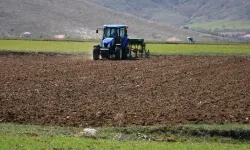 Tarlası boş duranlar dikkat: Bakanlık kiraya veriyor, para sahibine yatacak!