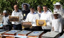 Büyükşehir'den arı yetiştiricilerine kovan desteği