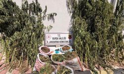 Bursa’da uyuştur*cu operasyonu: 22 kilo 675 gram esrar ele geçirildi