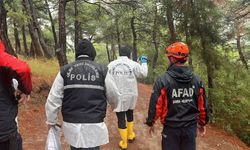 Bursa'da ormanda bulunan ces*t 8 aydır kayıp Tolgahan'a mı ait?