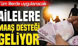 Ailelere maaş desteği geliyor: Tüm illerde uygulanacak!