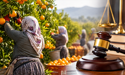 Tarım işçisini sevindiren karar