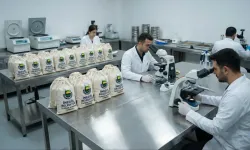 İnegöl Belediyesi toprağın röntgenini çekiyor!