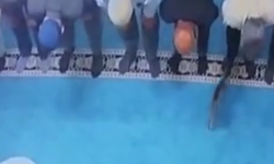 Allah'ın evinde akılalmaz vicdansızlık! Camide kediye tekme atan şahıs Türkiye'yi ayağa kaldırdı...