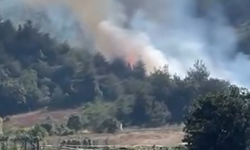 Bursa Kestel'de orman yangını: Havadan ve karadan müdahale başlatıldı