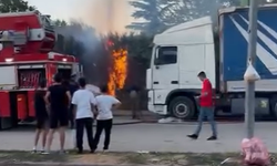 Bir anda alev aldı! İnegöl’de Botanik Park’ta yangın paniği