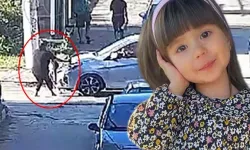 Gözler mahkemeden gelecek haberdeydi! Minik Elif'in hayatını kaybettiği kazada flaş gelişme...