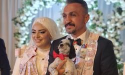 Düğünde altın yerine köpek taktı