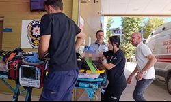 İnegöl’de kazada ölen Ayşegül için İl Milli Eğitim Müdürü’nden taziye mesajı