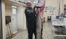 Bu balığı gören bir daha baktı! İnegöllü Esnaf dev yayın balığını yakaladı
