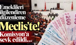 Emeklileri ilgilendiren düzenleme Meclis’te! Komisyon’a sevk edildi…