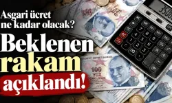 Asgari ücret ne kadar olacak: Beklenen rakam açıklandı!